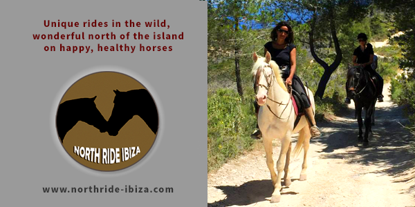 Erste Seite - North Ride Ibiza Horseback Riding